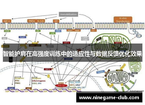 智能护肩在高强度训练中的适应性与数据反馈优化效果